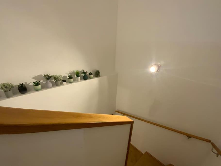 Erleben Sie Wien L Bg3 외부 사진